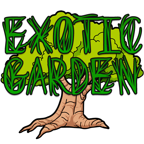 Логотип мода Exotic Garden