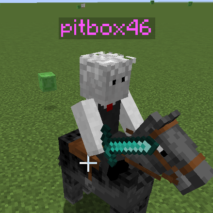 Логотип мода Hidden Names