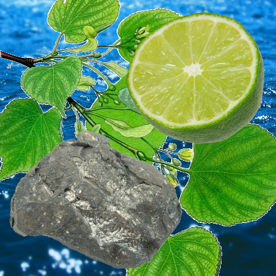 Логотип мода LimeLib