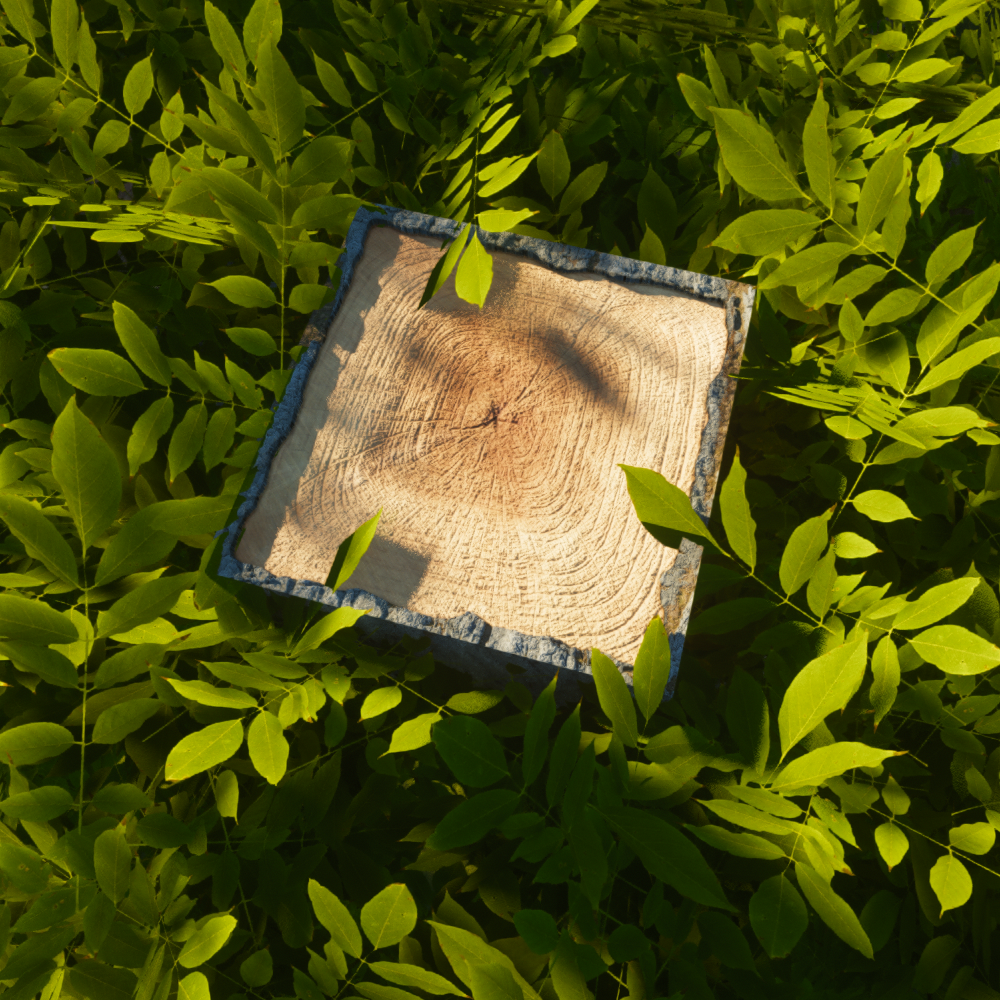 Логотип мода ModernArch [128x]