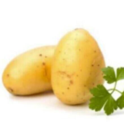 Логотип мода Opotato