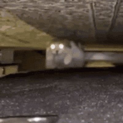 Логотип мода ProbeJS