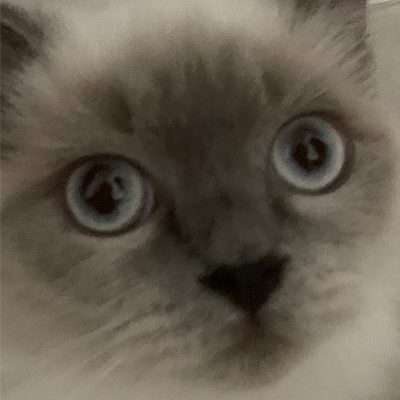 Логотип мода TaCZ JS